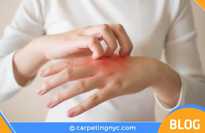 carpet cleaning in NYC, carpet cleaning in new york, carpet cleaning NYC, carpet cleaners in NYC, carpet cleaners in new york, commercial carpet cleaning, commercial carpet cleaning in NYC, NYC rug cleaners, rug cleaning services in NYC, same day carpet cleaning, same day rug cleaning