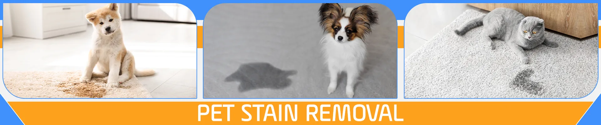 carpet cleaning in NYC, carpet cleaning in new york, carpet cleaning NYC, carpet cleaners in NYC, carpet cleaners in new york, commercial carpet cleaning, commercial carpet cleaning in NYC, NYC rug cleaners, rug cleaning services in NYC, same day carpet cleaning, same day rug cleaning