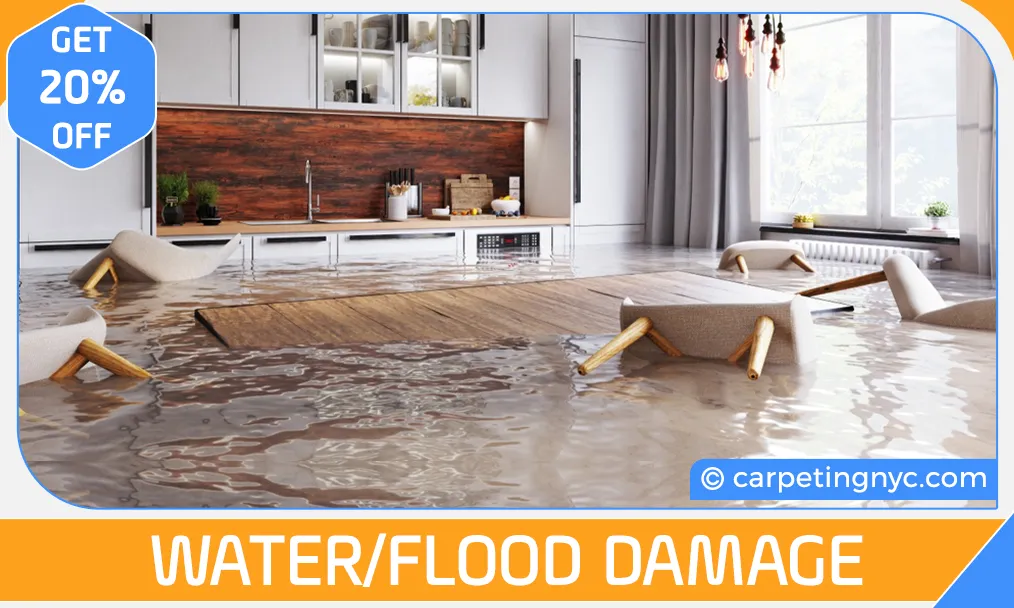 carpet cleaning in NYC, carpet cleaning in new york, carpet cleaning NYC, carpet cleaners in NYC, carpet cleaners in new york, commercial carpet cleaning, commercial carpet cleaning in NYC, NYC rug cleaners, rug cleaning services in NYC, same day carpet cleaning, same day rug cleaning