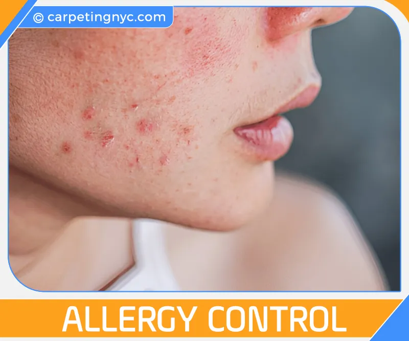 carpet cleaning in NYC, carpet cleaning in new york, carpet cleaning NYC, carpet cleaners in NYC, carpet cleaners in new york, commercial carpet cleaning, commercial carpet cleaning in NYC, NYC rug cleaners, rug cleaning services in NYC, same day carpet cleaning, same day rug cleaning