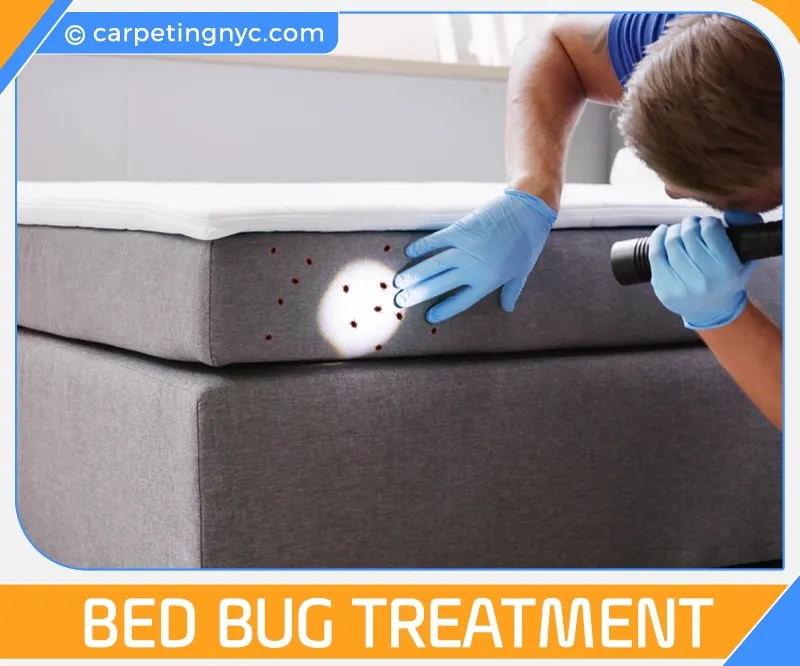 carpet cleaning in NYC, carpet cleaning in new york, carpet cleaning NYC, carpet cleaners in NYC, carpet cleaners in new york, commercial carpet cleaning, commercial carpet cleaning in NYC, NYC rug cleaners, rug cleaning services in NYC, same day carpet cleaning, same day rug cleaning